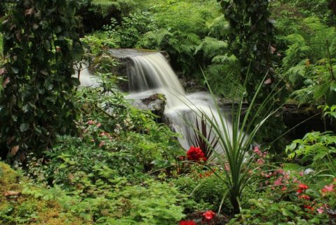 The Secret Garden In Alaska You’re Guaranteed To Love