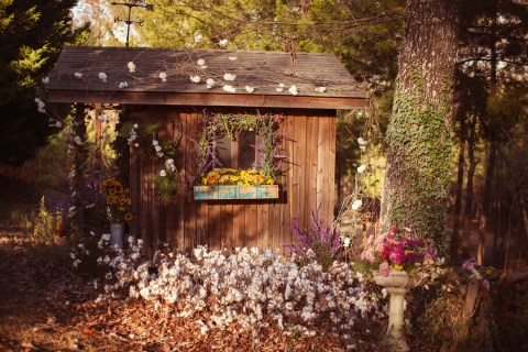 A Visit To This Charming Mississippi Flower Farm Is A Must This Spring