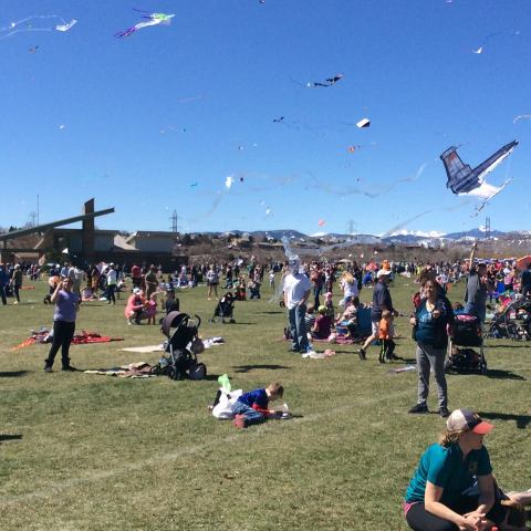 This Incredible Kite Festival In Denver Is A Must-See