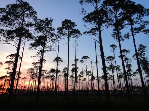 This Magical Nighttime Adventure Will Provide Views Of Georgia You've Never Seen Before