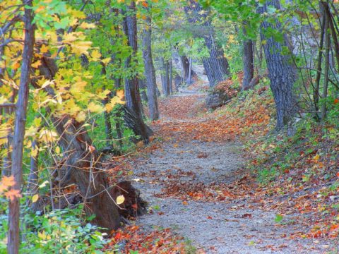 You'll Want To Visit These 11 Iowa Parks Over And Over Again