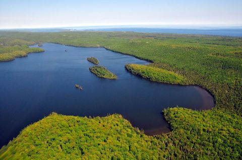 The Hiking Trail Hiding In Michigan That Will Transport You To Another World