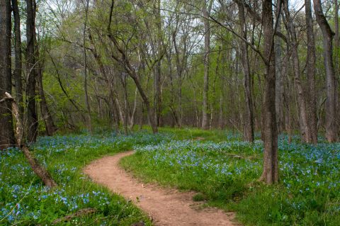 7 Amazing Washington DC Hikes Under 3 Miles You'll Absolutely Love