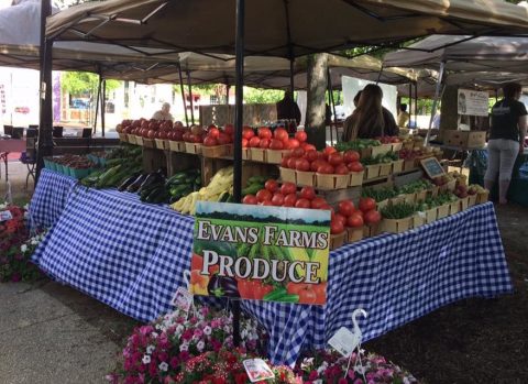 Everyone In Delaware Must Visit This Epic Farmers Market At Least Once