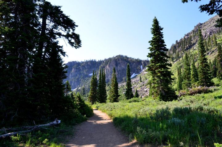 Idaho's Best Wildflower Trails