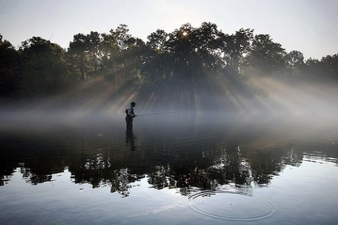 15 Amazing Lake Trips You Need To Take In Tennessee This Summer