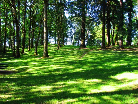 10 Picnic Perfect Portland Hikes That Will Make Your Spring Complete