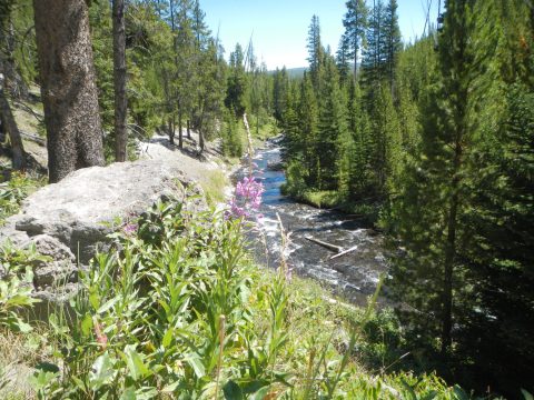 The Hiking Trail Hiding In Wyoming That Will Transport You To Another World