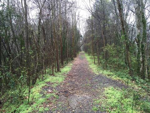 Hike This Secret Trail System In Mississippi For A Real Life Adventure