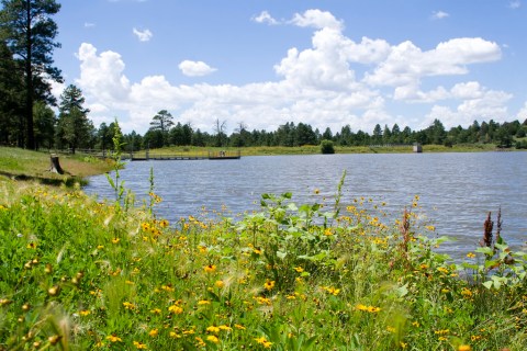 This Just Might Be The Most Beautiful Campground In All Of Arizona