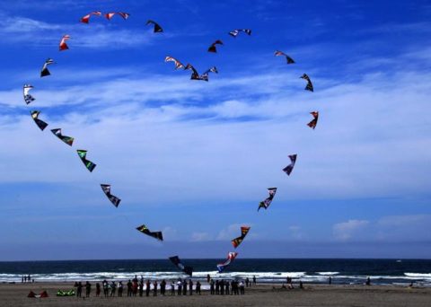 This Incredible Kite Festival In Washington Is A Must-See