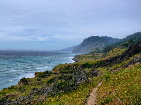 The 11 Most Spectacular State Parks In Northern California You Need To Visit