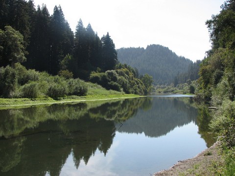 There's Nothing Better Than This Natural Lazy River Near San Francisco On A Summer's Day