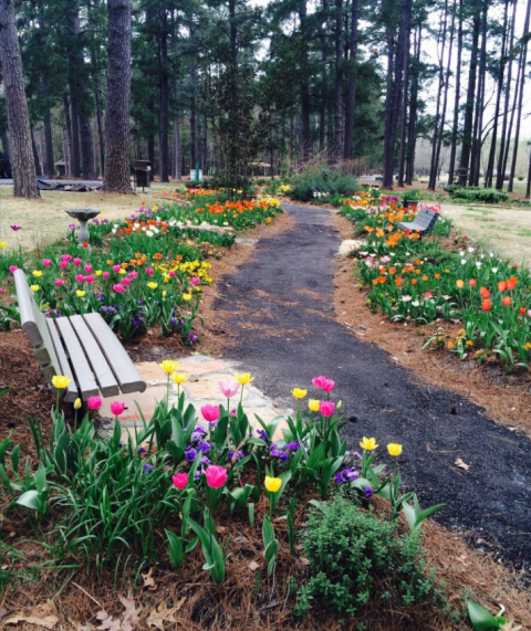 The Most Beautiful Park Is Right Here In Louisiana And You Need To Visit