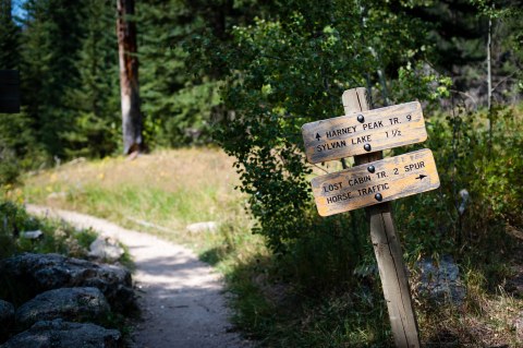 It's Impossible Not To Love This Breathtaking Wild Flower Trail In South Dakota