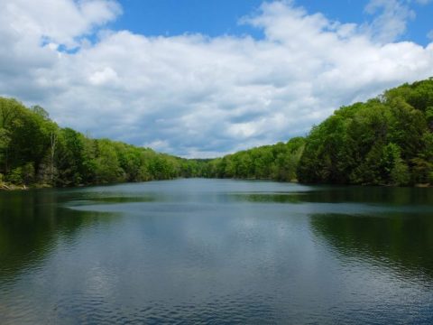 11 Amazing Lake Trips You Need To Take In Ohio This Summer