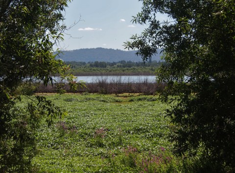 7 Amazing Portland Hikes Under 3 Miles You'll Absolutely Love