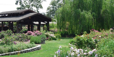 There's A Restaurant Hiding In This Secret Garden In Southern California And It's Simply Stunning