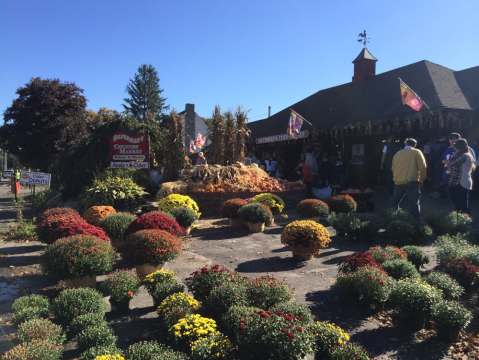 The Unique Park Everyone In Connecticut Should Visit At Least Once