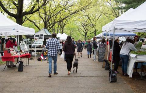 Everyone In Connecticut Must Visit This Epic Farmers Market At Least Once