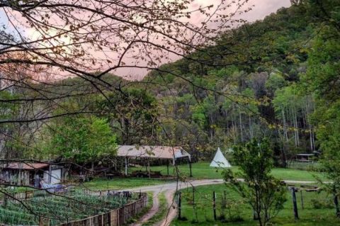 This Might Just Be The Most Beautiful Campground In All Of Kentucky