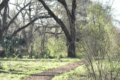 The Hiking Trail Hiding In New Orleans That Will Transport You To Another World