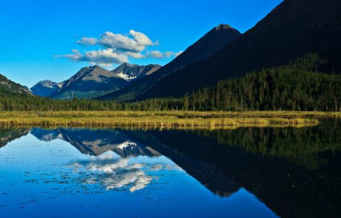 10 Little Known Swimming Spots In Alaska That Will Make Your Summer Awesome