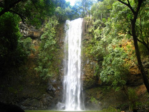 The Journey To This Hawaii Waterfall Swimming Hole Is More Enchanting Than You Could Possibly Imagine