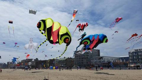 This Incredible Kite Festival In Maryland Is A Must-See