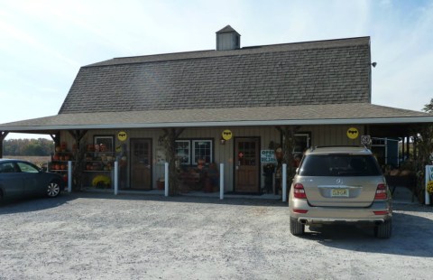 The Best Little Bakeshop In America Is Right Here In New Jersey