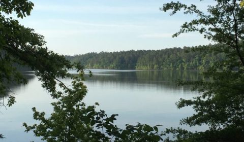 There's Nothing Better Than A Day Trip To Arkansas' Most Underrated Lake