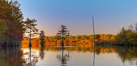 9 Enchanting Louisiana Lakes That You'll Want To Jump Right In