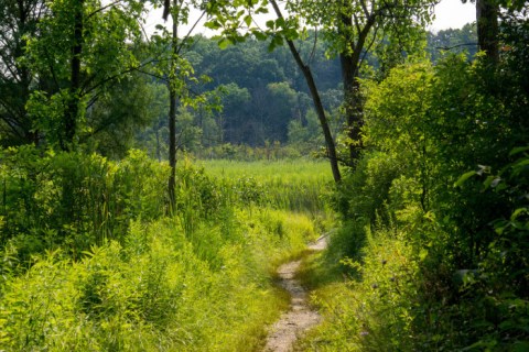 8 Amazing Indiana Hikes Under 3 Miles You'll Absolutely Love