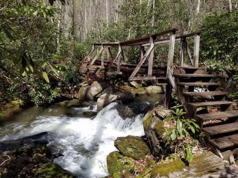 The Hiking Trail Hiding In South Carolina That Will Transport You To Another World