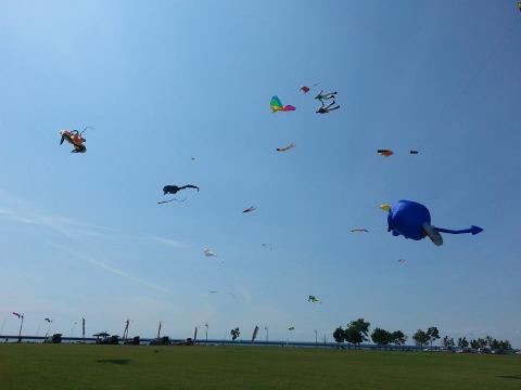 This Incredible Kite Festival In Buffalo Is A Must-See