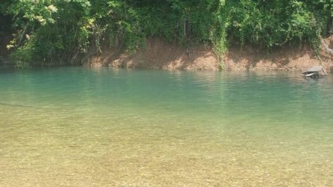 7 Little Known Swimming Spots In Oklahoma That Will Make Your Summer Awesome