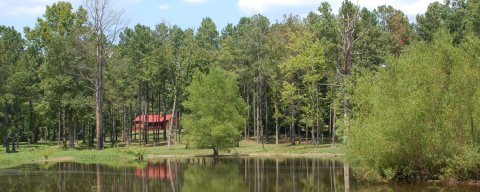 The Hidden Cabin In Arkansas That You'll Never Want To Leave