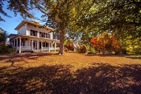 Visit These 7 Charming Tea Rooms In Connecticut For A Piece Of The Past