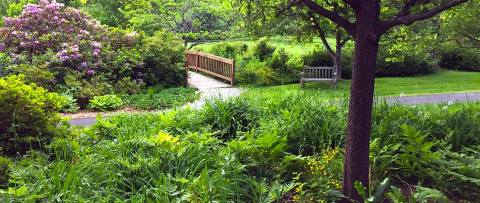 It's Impossible Not To Love This Breathtaking Wild Flower Trail In Massachusetts