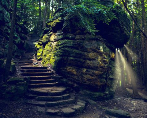 The Ledges Hiking Trail That's Hiding In Ohio Was Once Covered By An Ancient Sea