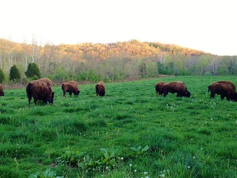 9 Amazing State Parks Around Cincinnati That Will Blow You Away