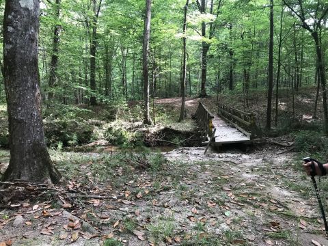 Louisiana's Longest Hiking Trail Will Show You A Completely Different Side To The State