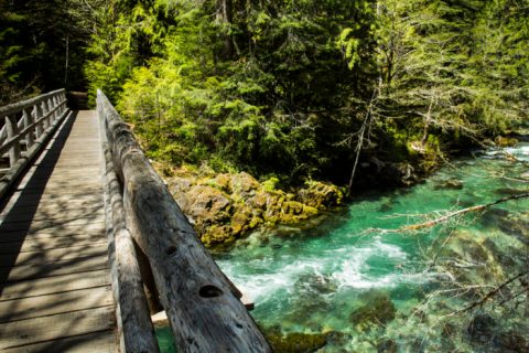 These 13 Summer Hikes In Oregon Are Positively Extraordinary