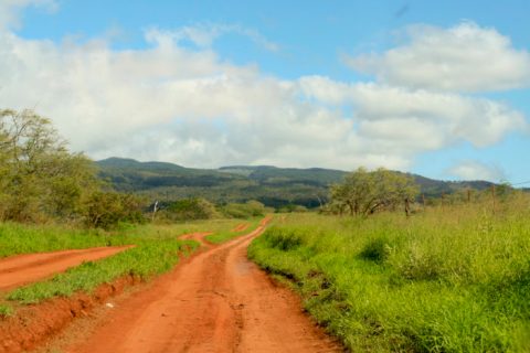 Walk On The Wild Side At This Epic Nature Preserve In Hawaii