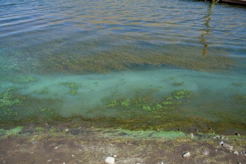 You May Not Want To Swim In These 3 Indiana Lakes This Summer Due To A Dangerous Discovery