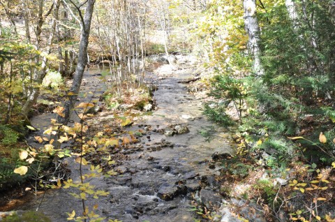 Hiking To This Aboveground Cave In Maine Will Give You A Surreal Experience