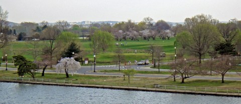 The Incredibly Unique Park That's Right Here In Washington DC's Own Backyard