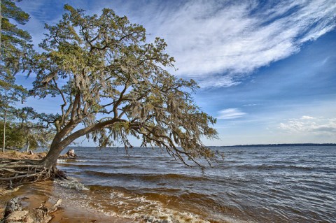 10 Glorious Campgrounds In North Carolina Where No Reservation Is Required