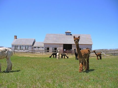 5 Fantastic Factory Tours You Can Only Take In Massachusetts