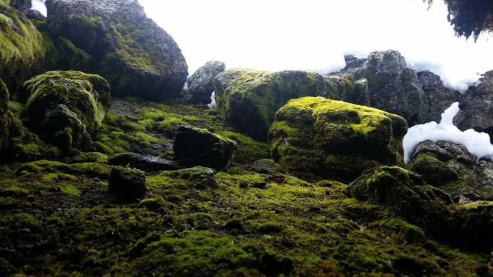 Craters of the Moon Cave Trail - Idaho